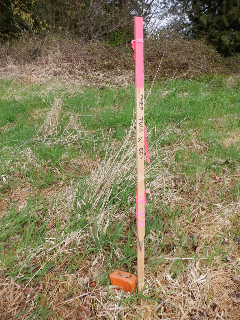 Stake on the right (north) bank of Browne Creek. Stake is labelled to indicate the west boundary of the Trans Mountain Expansion Project temporary work space. 